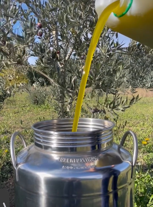 Recharge | Huile d’olive BIO AOP | Récolte 2026